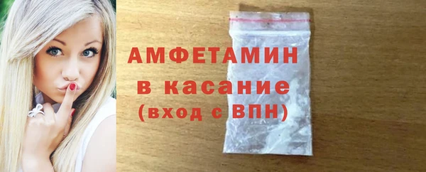 индика Зеленокумск