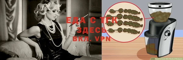 сатива Новоузенск