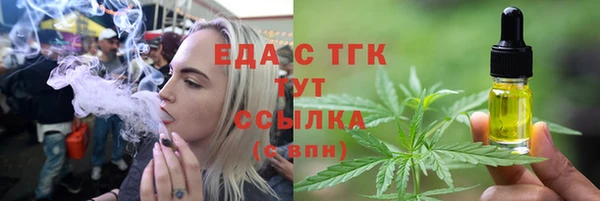 индика Зеленокумск