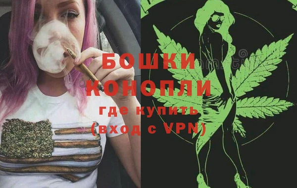 индика Зеленокумск