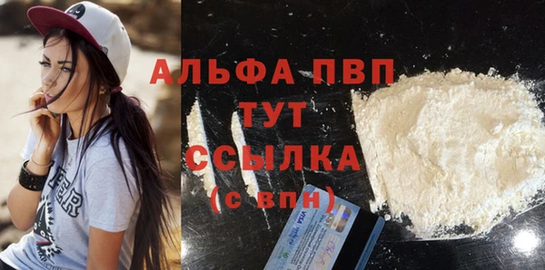 индика Зеленокумск