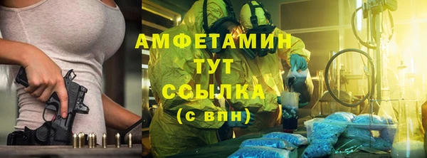 индика Зеленокумск