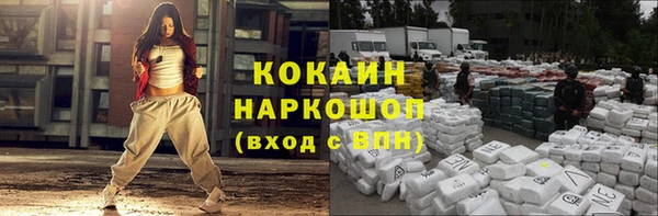 индика Зеленокумск
