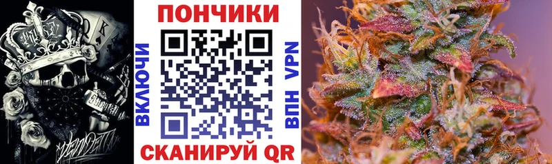 Конопля планчик  Пустошка 